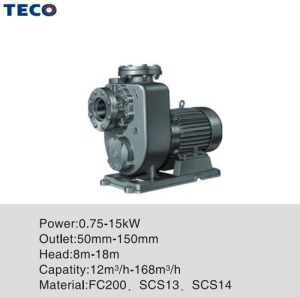 Gmp Kmp Self Priming 5650